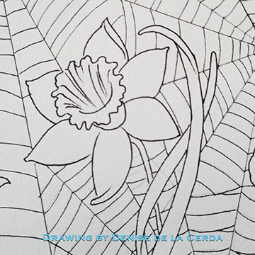 placeholder image-sq