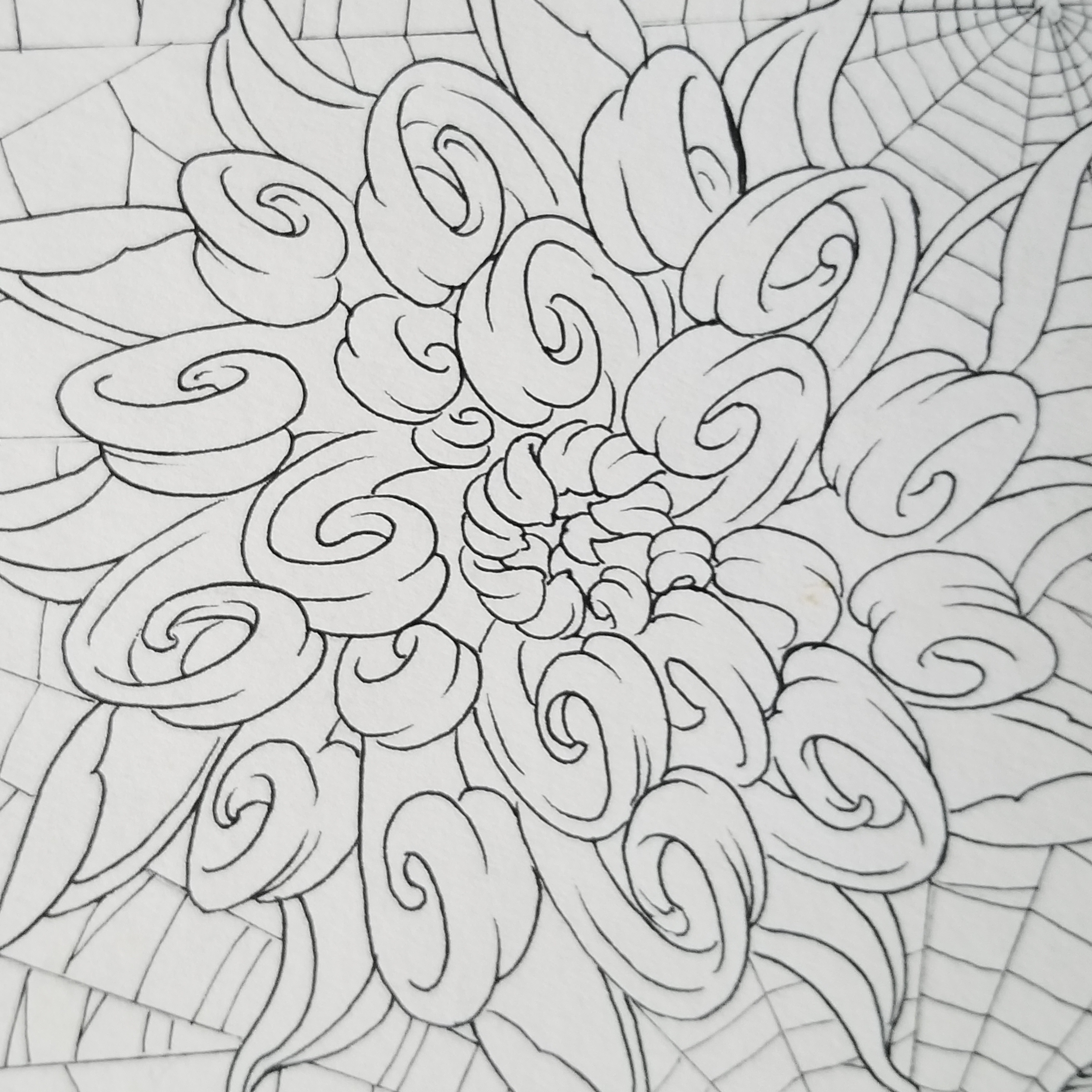 placeholder image-sq