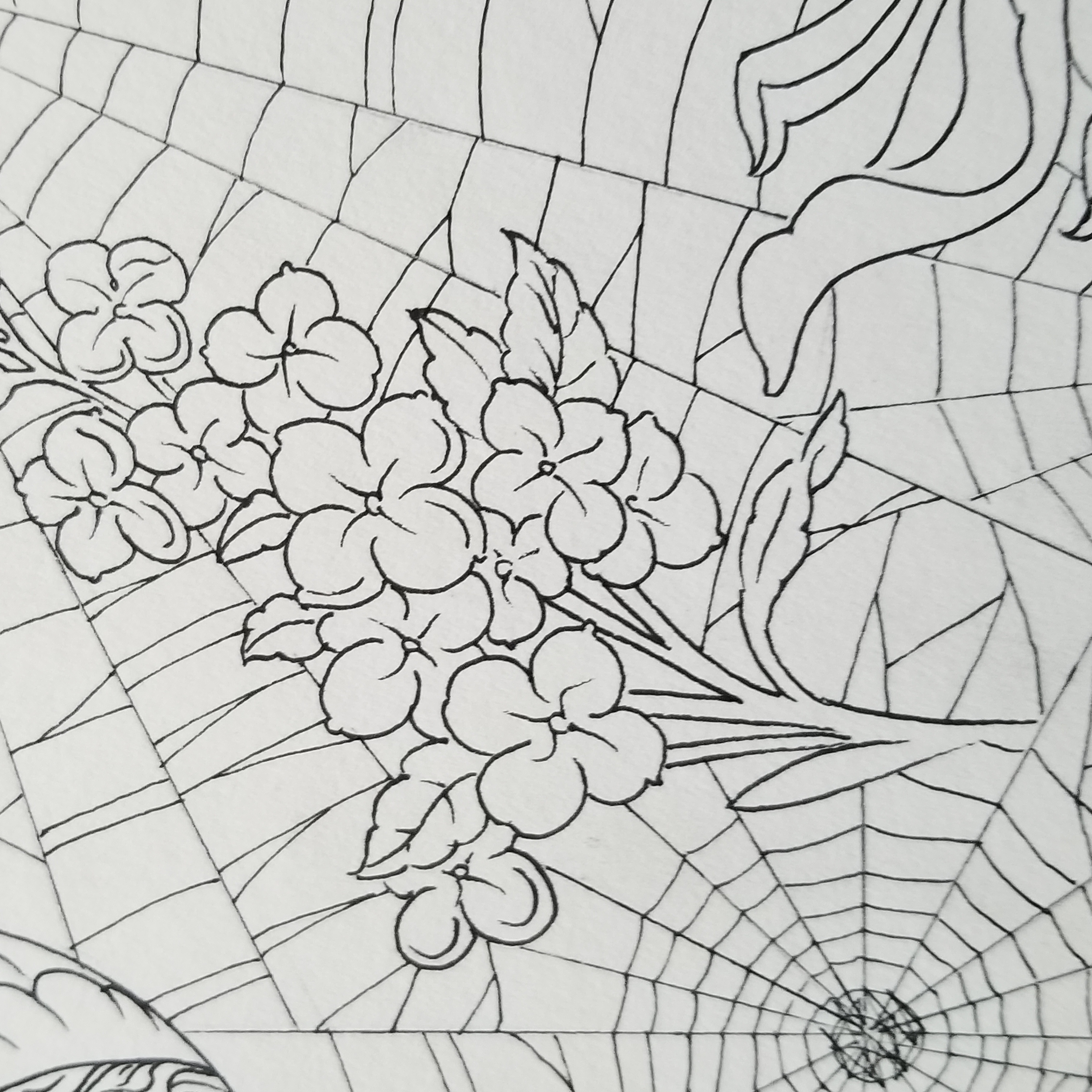 placeholder image-sq