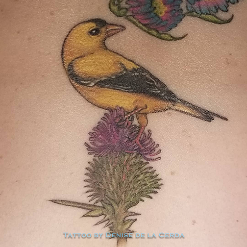 placeholder image-sq